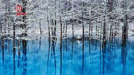 &nbspAng iluminadong 'blue pond' sa Hokkaido ay umaakit sa mga turista